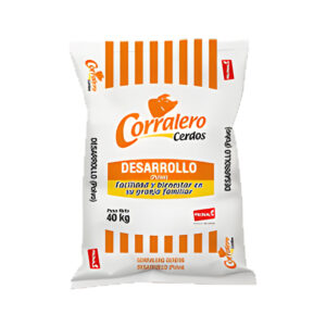 Procerdos Corralero Cerdos Desarrollo