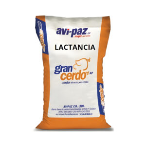 Gran Cerda Lactancia