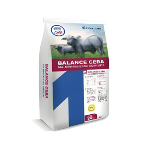 Balance Ceba