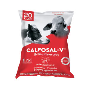 Calfosal V – Engorde
