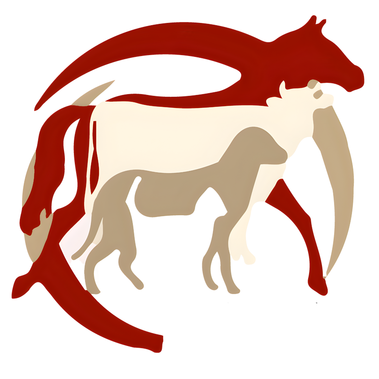 icono transp tecniagro valencia