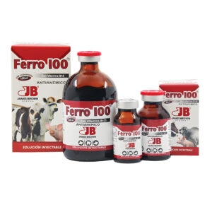 Ferro 100 Solución Inyectable