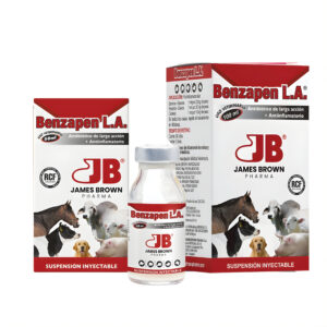 Benzapen L.A. Solución Inyectable
