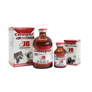 Cefaspur Solución Inyectable