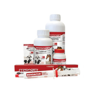 Bendacur Solución Oral