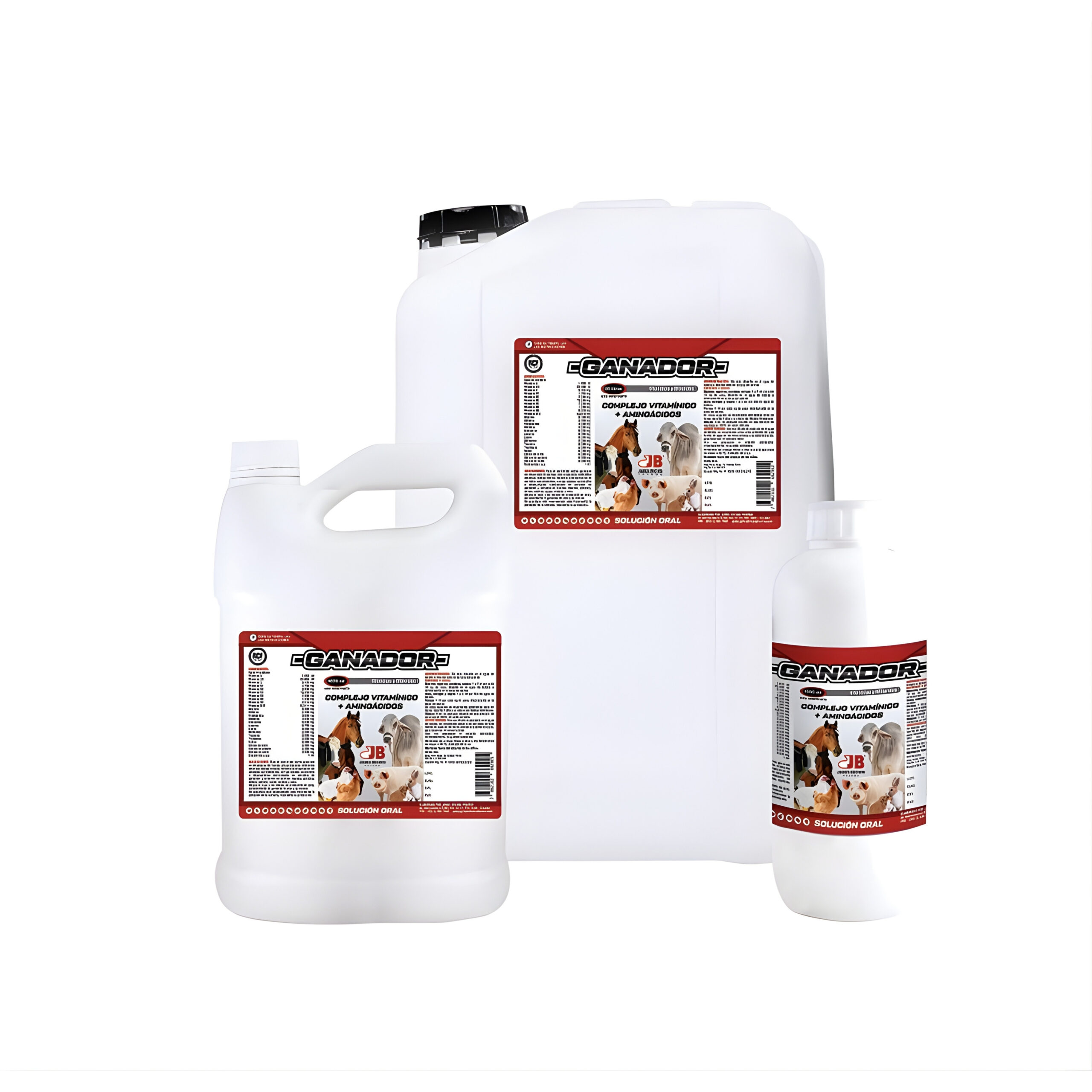 Ganador Solución Oral