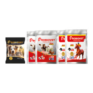 Probiovet Polvo Soluble